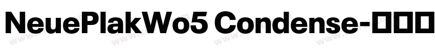 NeuePlakWo5 Condense字体转换